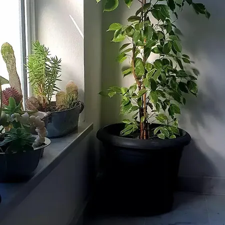 Casa Villaggio Pirandello Гостевой дом *